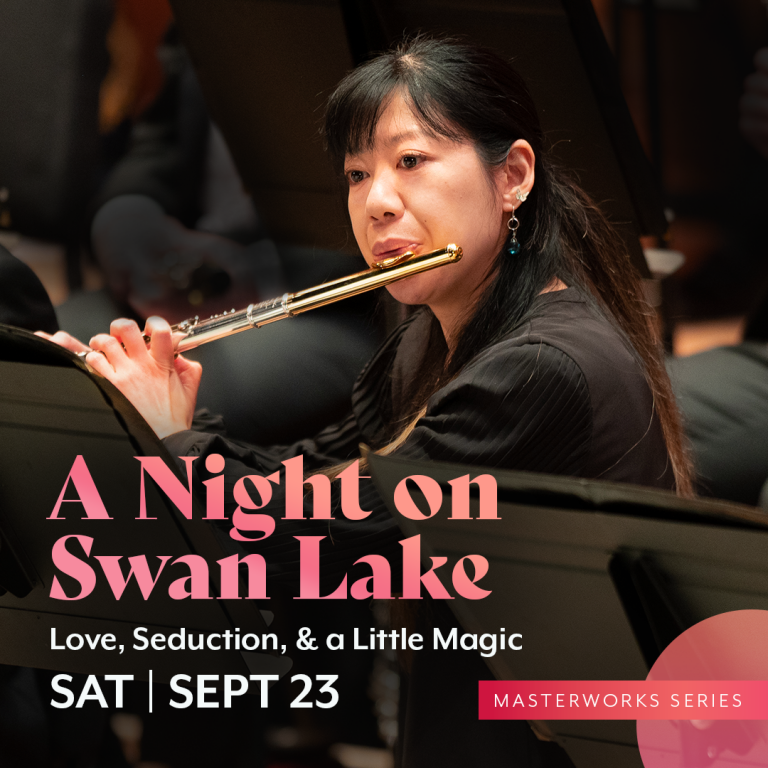 A Night on Swan Lake